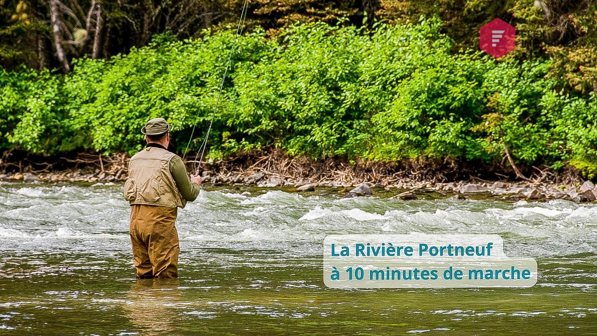 Chalet Le Grand Pic De Portneuf - 65